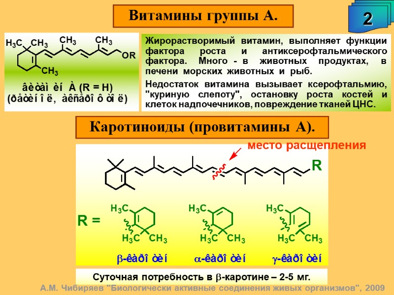 Витамины группы А. 2 Каротиноиды (провитамины А). А.М. Чибиряев 